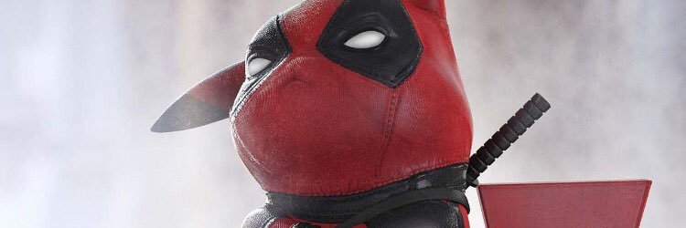 jgepheks's profile banner image