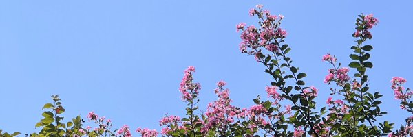imfancyyoung Profile Banner