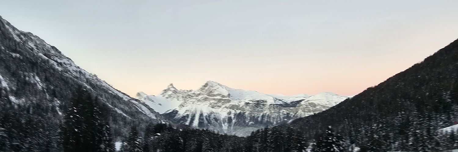 Twitter banner for @RonR1965
