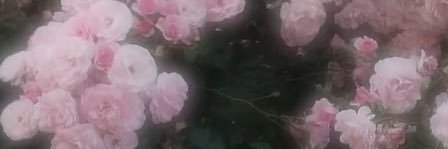 mrn_jc2's profile banner image
