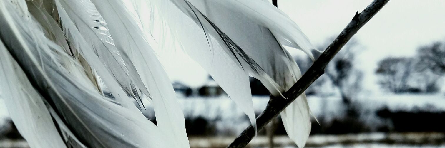 leepetergeorge's profile banner image