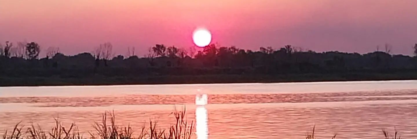 Christian Colmán banner