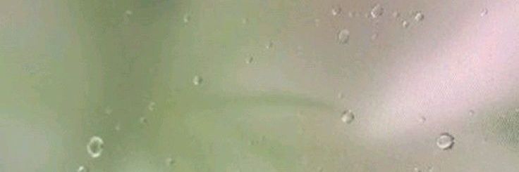 olive𓆝 banner