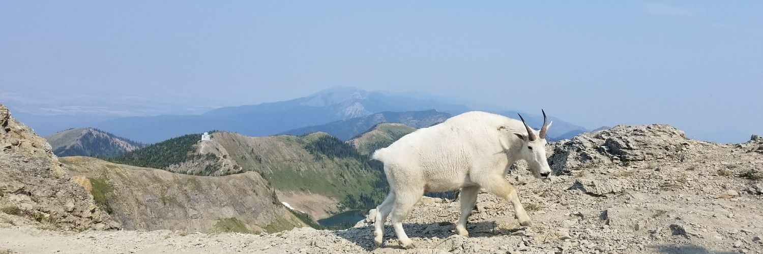 ShaneStOnge's profile banner image