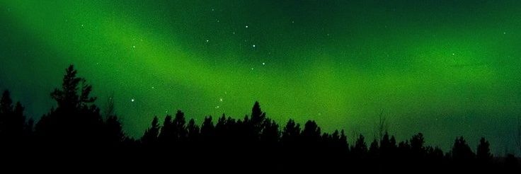 ⁠*⁠ . ⁠✧ Oren ✧ . *'s banner