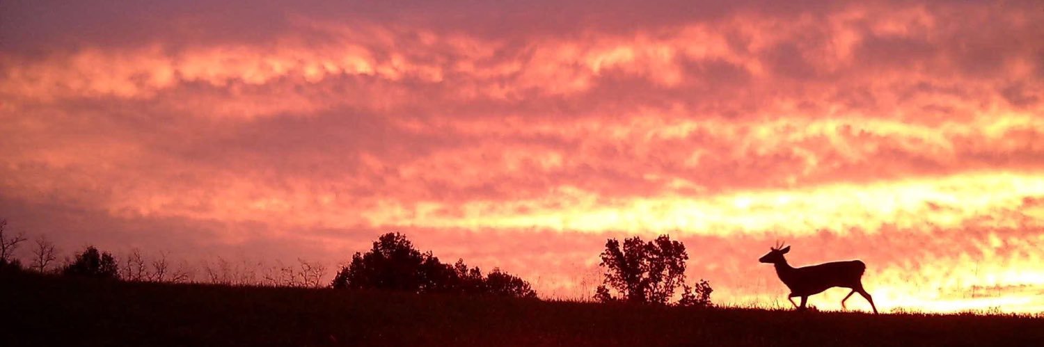 Howeblanc ✨💫 banner