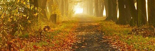 mmme_4's profile banner image