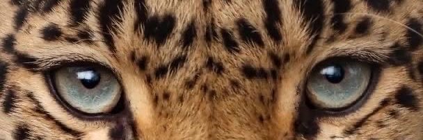 444Luvur's profile banner image