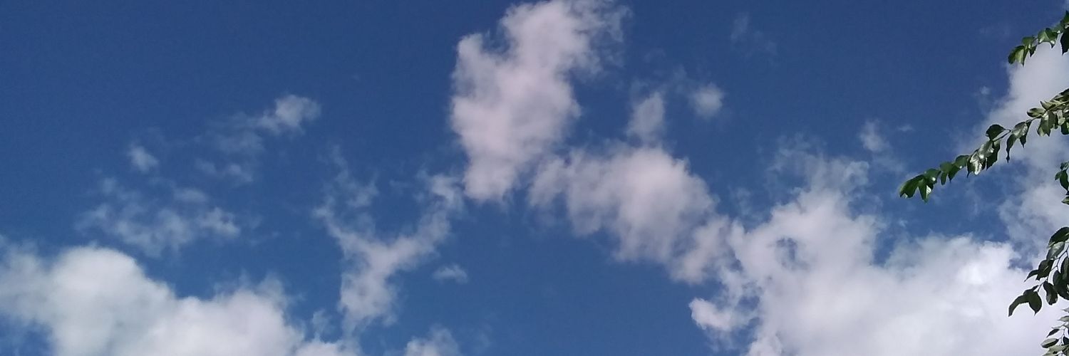 Charlotte Claussen's banner