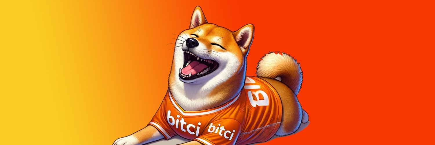 Bitci Bonk #MEME banner