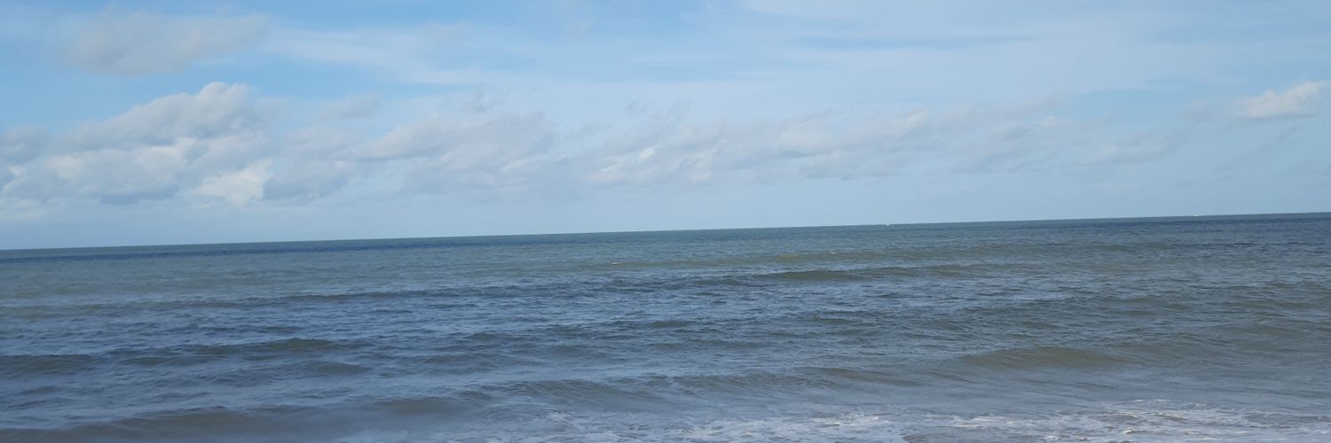 Felipe banner