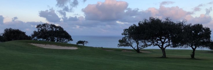 Patrick Fields banner