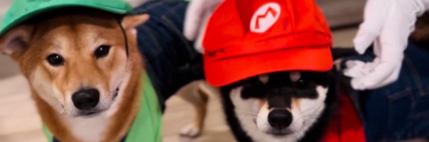 shibahex's profile banner image