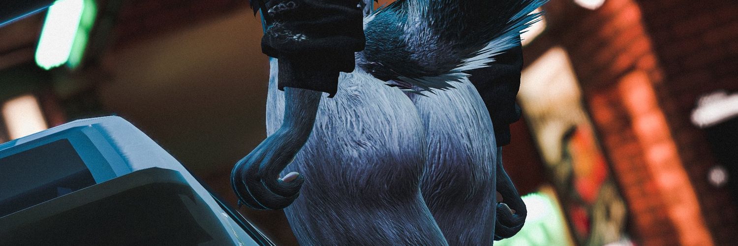 🔞𝘚𝘰𝘭𝘢𝘳𝘢 banner