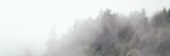 ✨ banner
