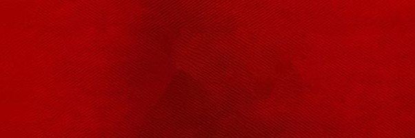 holyshittyz's profile banner image