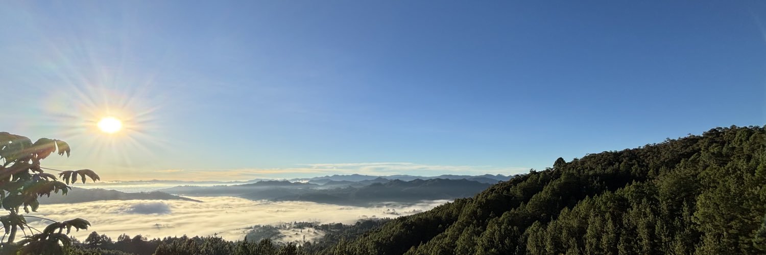 lealconsulting's profile banner image