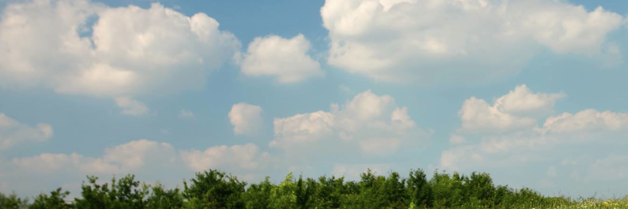 w_sanchez18's profile banner image