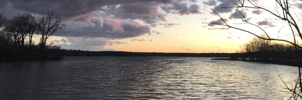 JudyDavidoff Profile Banner