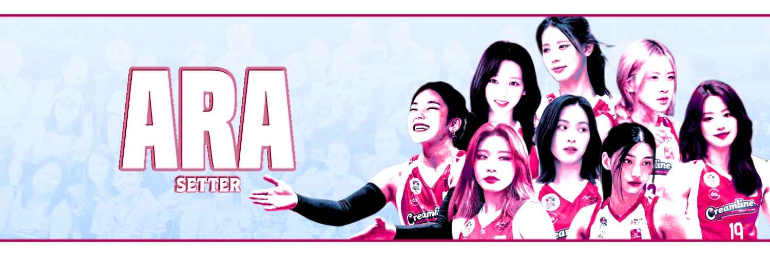 . ݁₊ ⊹ . 🏐ྀི ݁ #02, ARA banner