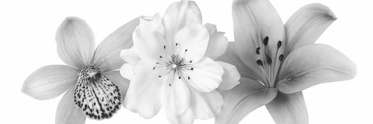 𝒜. banner