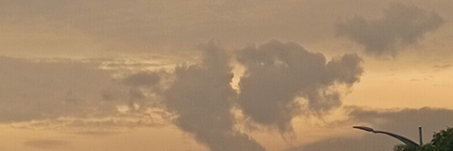 TH05 banner