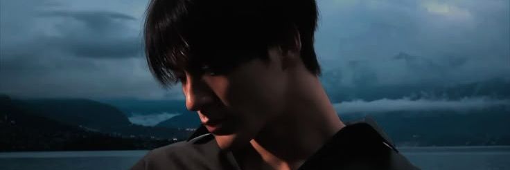 shanie mbg banner
