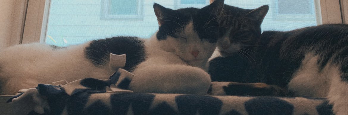 Evey_M's profile banner image
