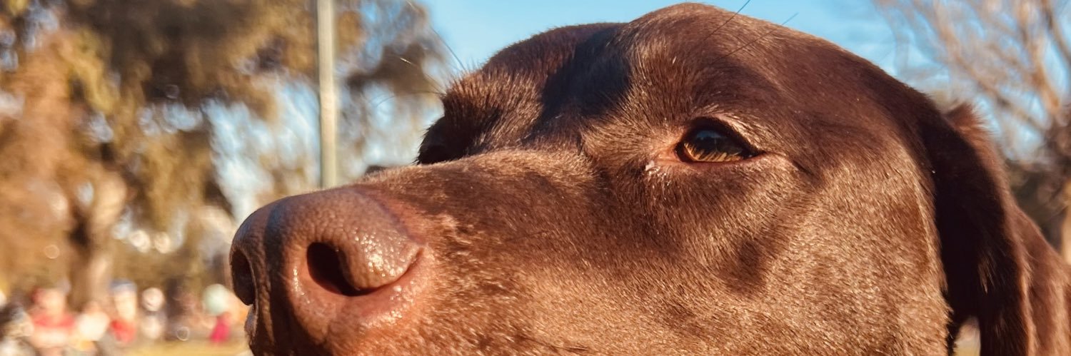 La tana Blatt banner