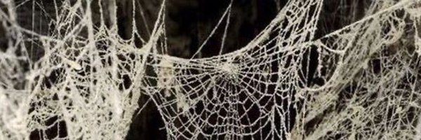 aalicksyy Profile Banner