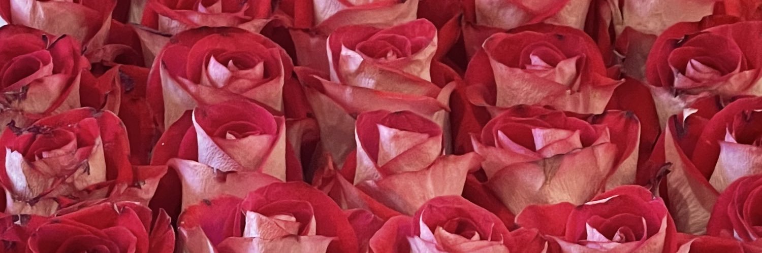 honeyveee_'s profile banner image