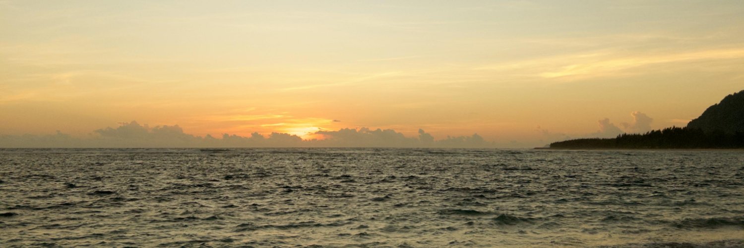 sollunii_'s profile banner image