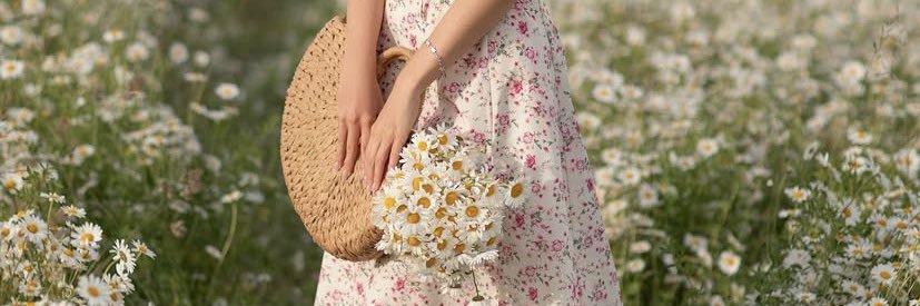 HILDE 🌸🇪🇺 banner