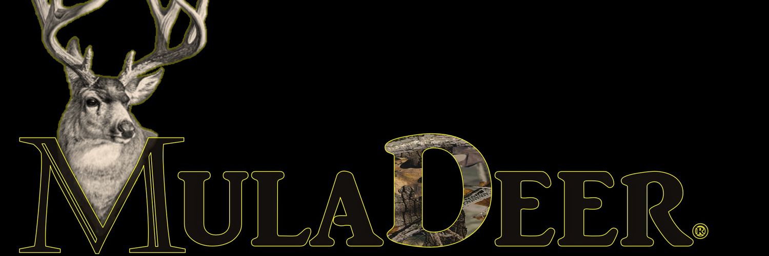 mlodela's profile banner image