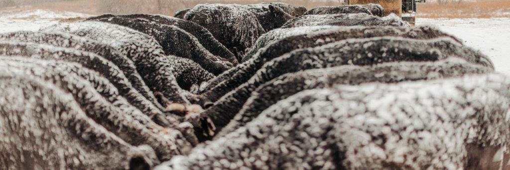 Farm Service Agency banner