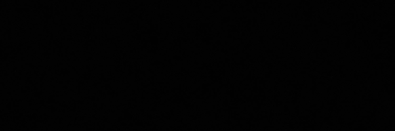 ⋆˚࿔ 𝒁. 𝜗𝜚˚⋆ banner