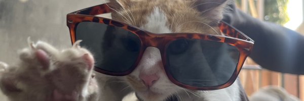 1Kingabk Profile Banner