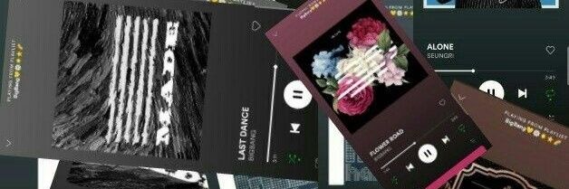 V banner