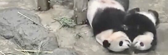 なにわじぇんぬ banner