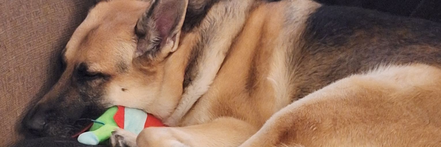themostPEPE's profile banner image