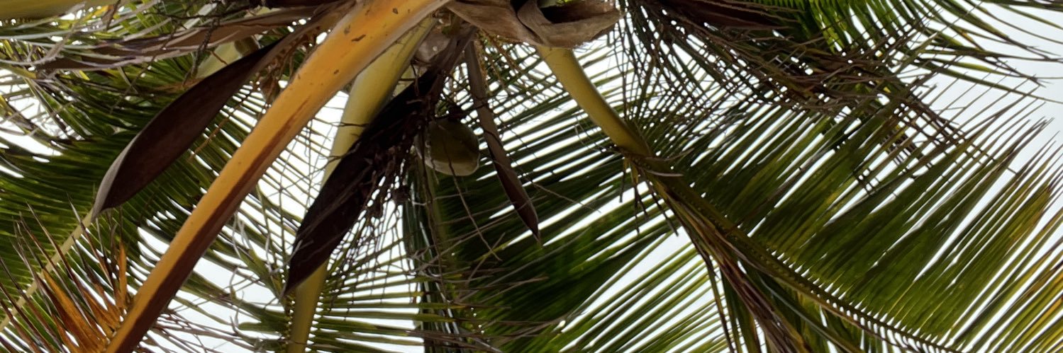 Eloy A. Ruiz-Rivera banner