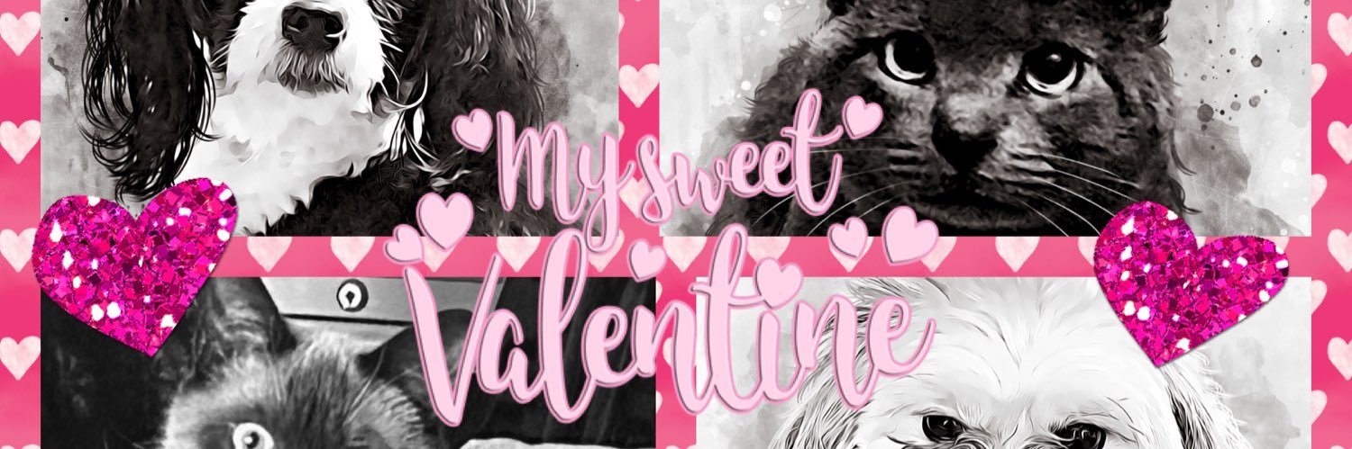 its_lisak's profile banner image