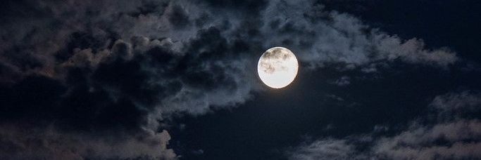 romina banner