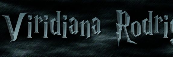 viriitzel's profile banner image