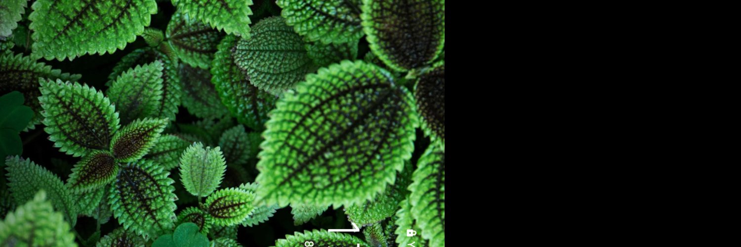 Bahadr1481306's profile banner image