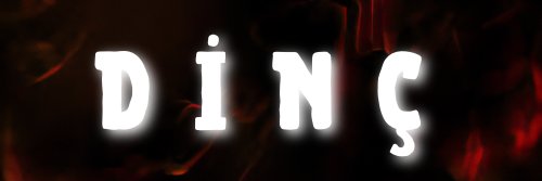 D İ N Ç banner