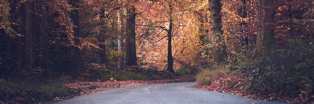 pariahrob's profile banner image