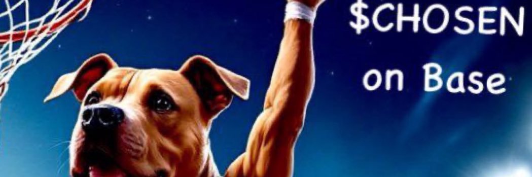Ryan Sant's banner