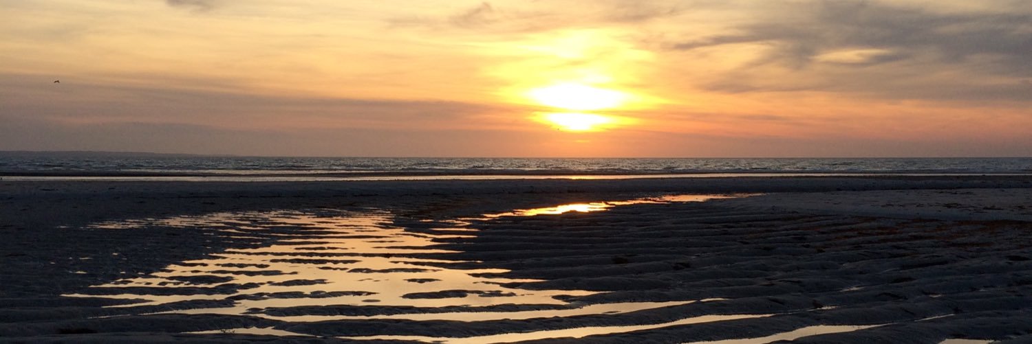 Elizabeth Sherman banner