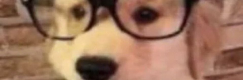 Pokey's banner